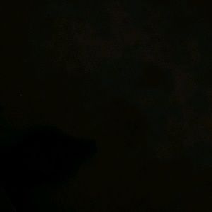 Meet your Posher, Ant